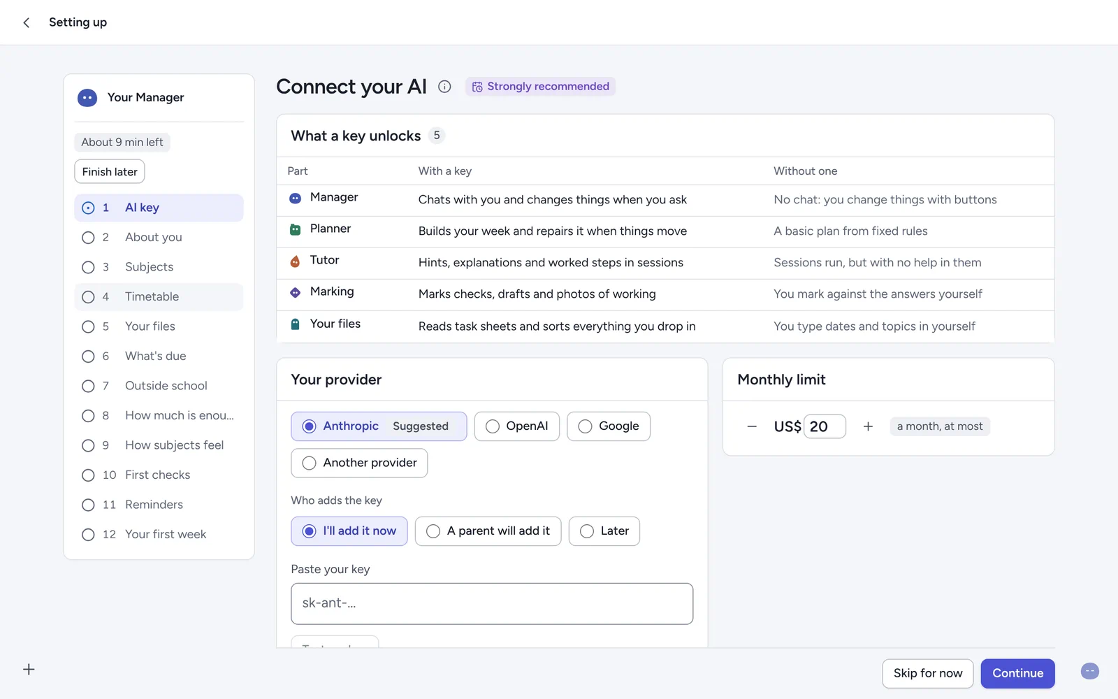 Setup, step 1: adding an AI key, or continuing without one