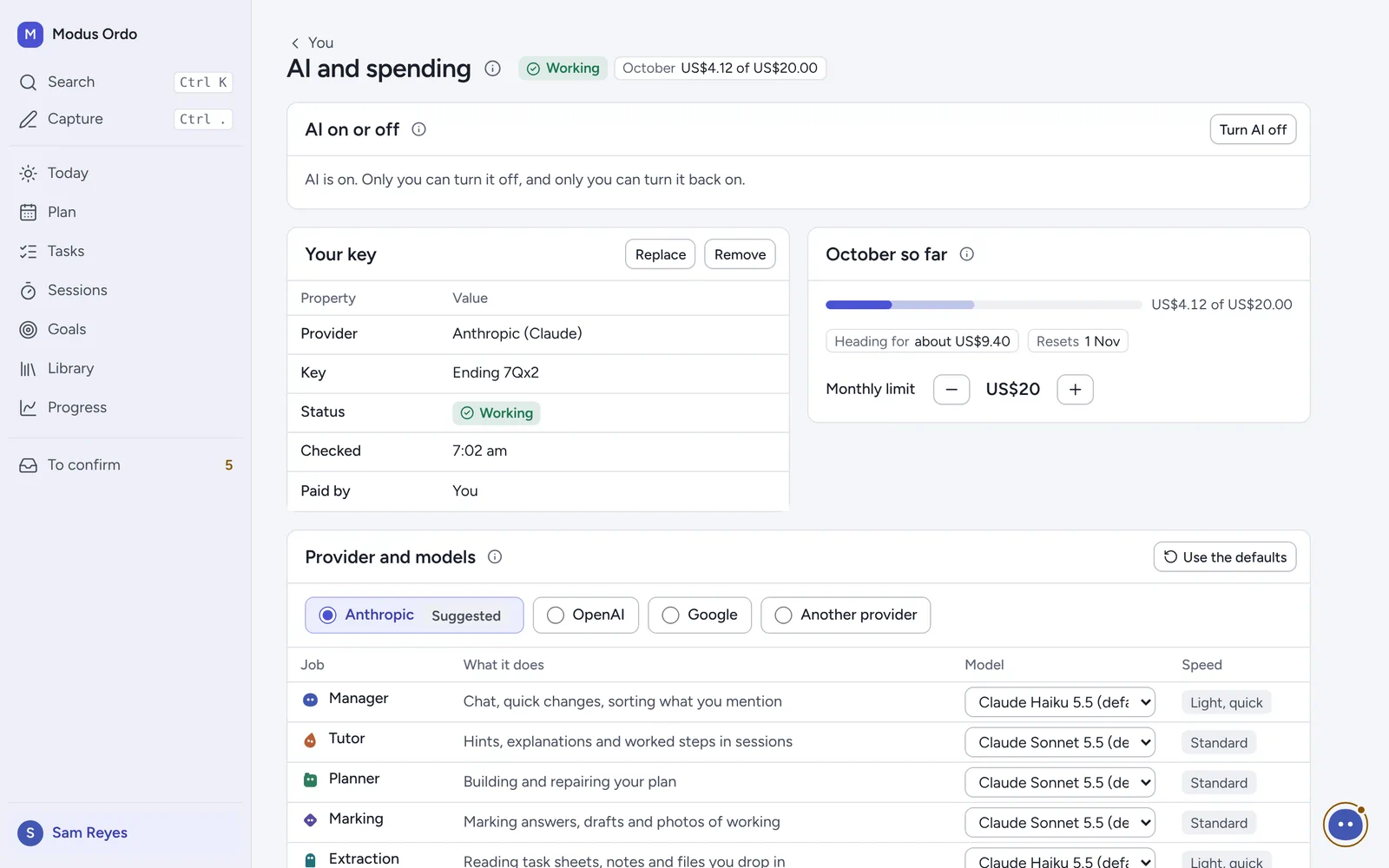 AI and spending: turn AI on or off, the key, a monthly limit and the provider and models